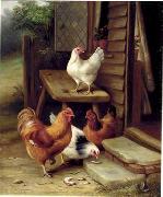 unknow artist Cocks 123 oil painting reproduction